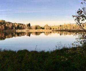 Uwe Zwick Bachtelweiher Sanierung